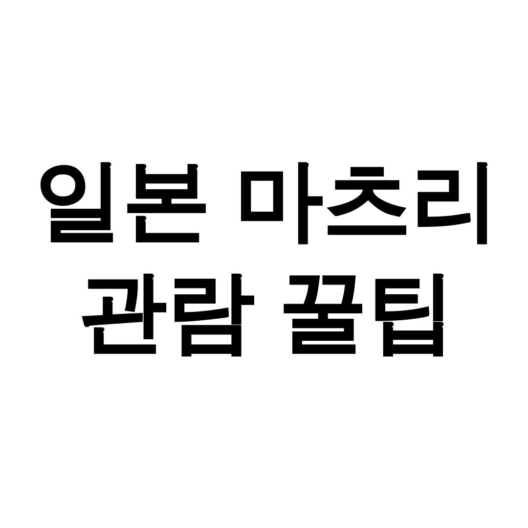 일본 마츠리 관람 꿀팁